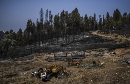 (FILES) In this file photo taken on July 22, 2019 A herd of goats graze close to a burnt forest in Roda village, Macao, central Portugal. - Faced with devastating fires that are likely to increase with global warming, Spain and Portugal are faced with the imperative to better manage their forests so that tens of thousands of hectares do not go up in smoke each summer. -- Photo: Patricia De Moreira / AFP