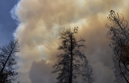 Heavy smoke rises as the Oak Fire chews through the forest near Midpines, northeast of Mariposa, California, on July 23, 2022. - The fire is burning west of Yosemite National Park where the Washburn Fire has threatened the giant sequoia trees of the Mariposa Grove. -- Photo: David McNew / AFP