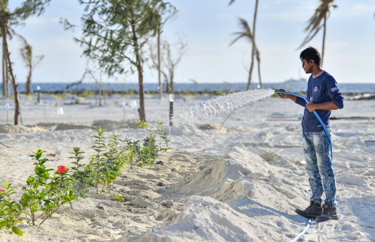 ބޮޑު މުސާރައާ އެކު ކުޑަގިރި އަށް މުވައްޒަފުން ހޯދަނީ