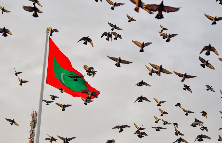 މައުމޫންގެ ލިޔުއްވުމެއް، "އިސްލާމްދީނާއި މިނިވަންކަން"