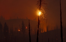 This photograph taken on July 25, 2022, shows embers falling from trees of a forest destroyed by the Oak Fire near Mariposa, California, burning west of Yosemite National Park where the Washburn Fire has threatened the giant sequoia trees of the Mariposa Grove. - Firefighters were battling California's largest wildfire of the summer on July 25, 2022, a blaze near famed Yosemite National Park that has forced thousands of people to evacuate, officials said, as the Oak Fire in Mariposa County has engulfed 16,791 acres (6.795 hectares) and is 10 percent contained, Cal Fire, the state fire department, said. -- Photo: David McNew / AFP