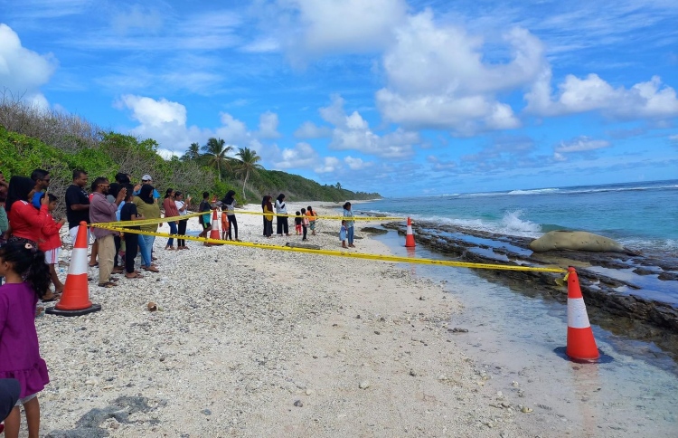 ސީލް އަަށް ކާންދީ، އުނދަގޫ ނުކުރަން އެދިއްޖެ