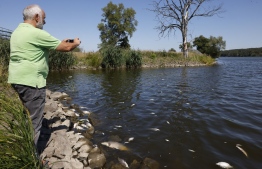 Michael Tautenhahn, deputy leader of the Unteres Odertal national park, takes pictures of dead fish on the banks of the river Oder in Schwedt, eastern Germany, on August 12, 2022, after a massive fish kill was discovered in the river in the eastern federal state of Brandenburg, close to the border with Poland. - The cause of the mass mortality of fish along the river is still unclear. Authorities in the city of Frankfurt an der Oder warned "strongly" against coming into contact with the water of the river. --Photo: Odd Andersen / AFP