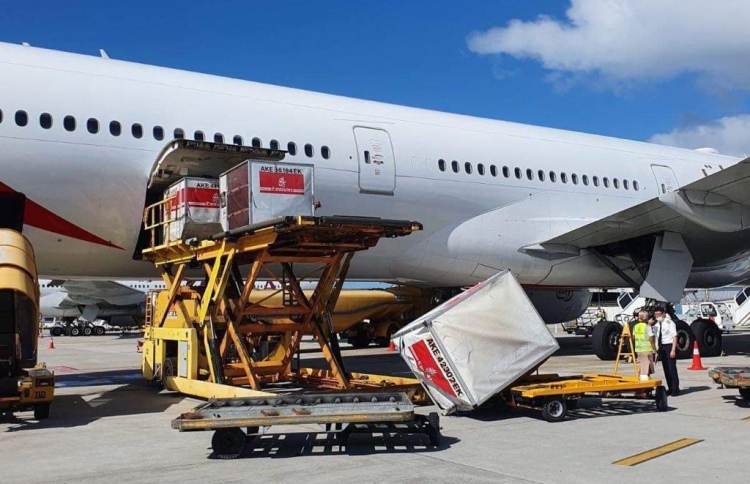 ފްލައިޓަކުން ކޮންޓެއިނަރެއް ވެއްޓި މީހަކު ޒަހަމްވެއްޖެ