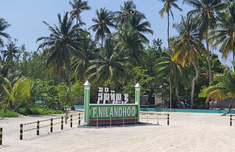 ނިލަންދޫން 129 ގޯތި ދޫކުރަން އިއުލާންކޮށްފި