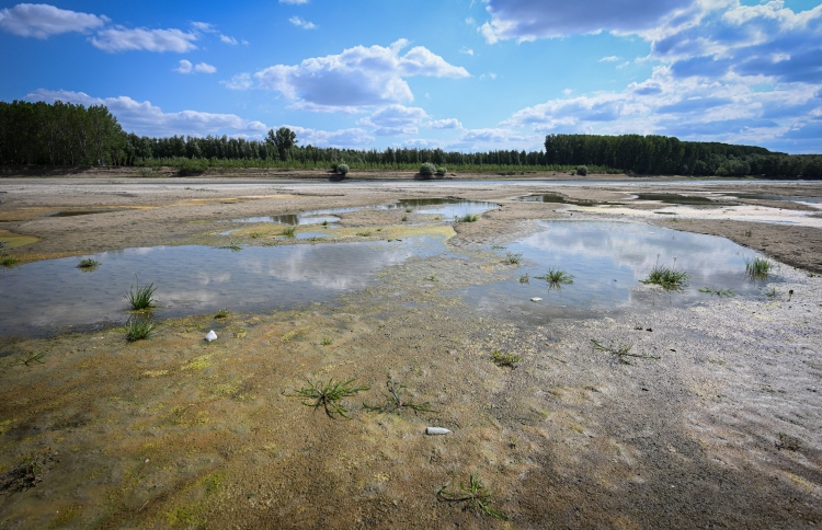 ހޫނު އެންމެ ގަދަވީ މިދިޔަ 8 އަހަރު: ރިޕޯޓް