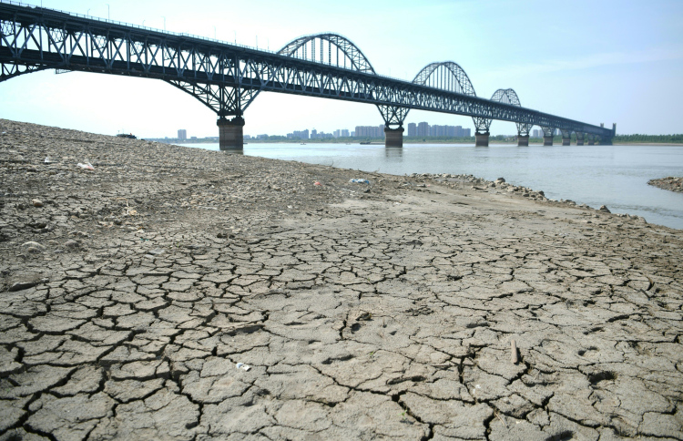 އާދަޔާ ހިލާފަށް ދުނިޔެ ހޫނުވާ ސަބަބު ބުނެދޭކަށް ނޭނގެ