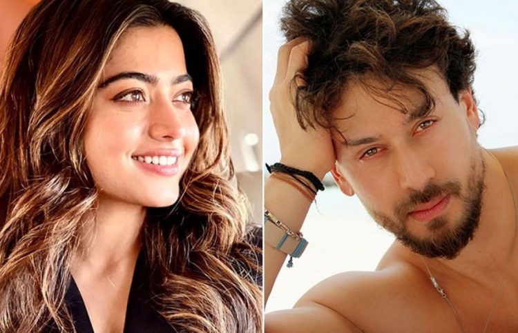 ޓައިގާއާއި ރަޝްމިކާގެ ފިލްމުގެ މަސައްކަތް މަޑުޖެހިއްޖެ