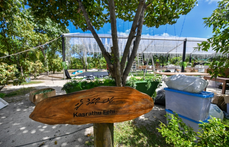 ލޮނުޒިޔާރަތްޕާކުގެ ވިނަގަނޑު މައްޗަށް ދޮންވެލި އަޅައިފި