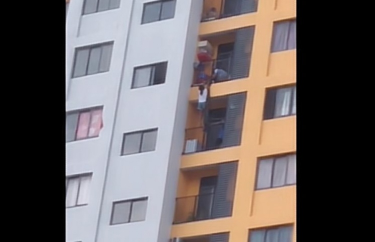 ހިޔާ ފްލެޓަކުން ކުއްޖަކު ވެއްޓެނިކޮށް ސަލާމަތްކޮށްފި