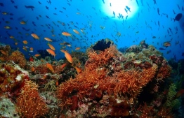 Reef in Vaavu atoll; a photo contest will be held to identify reef health of Maldives
