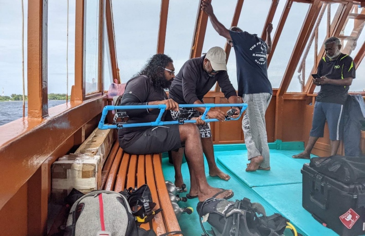 ވިލިމާލޭގެ ފަރަށް ލިބުނު ގެއްލުން ބަލަން ފަށައިފި