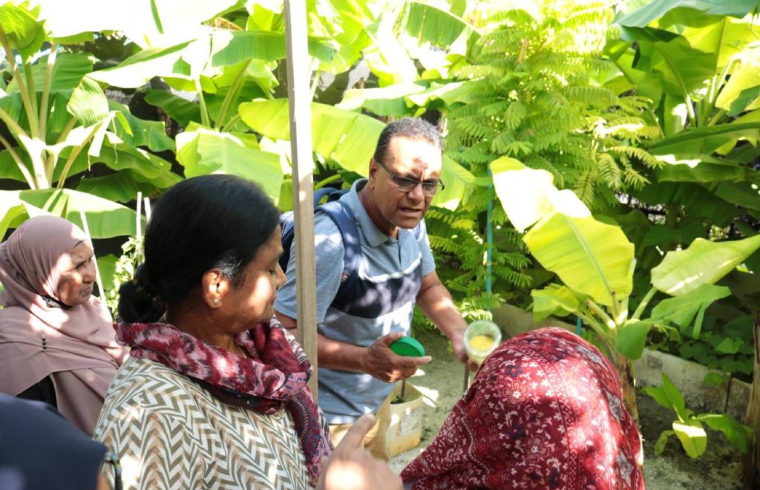 ދިރިއުޅޭ ގޭގައި ހޮރިކަލްޗަރަލް ކްރޮޕް ހެއްދުމާ ގުޅޭގޮތުން ކުރިއަށް ދިޔަ ތަމްރީން ޕްރޮގްރާމްގެ ތެރެެއިން ---ފޮޓޯ: އެމްއައި ކޮލެޖް