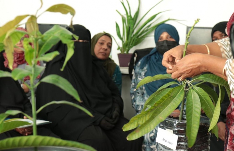 މާލޭ ގޭގައި ގަސްހައްދާ މީހުންނަށް އެމްއައިގެ ތަމްރީނެއް