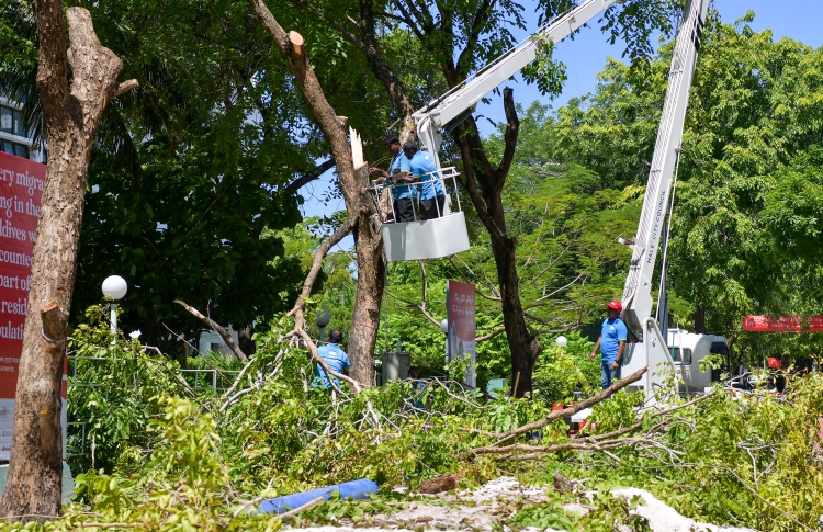 އަމީނީ މަގުން ގަސް ކެނޑުން ހުއްޓުވަން ނަޝީދު ކޯޓަށް