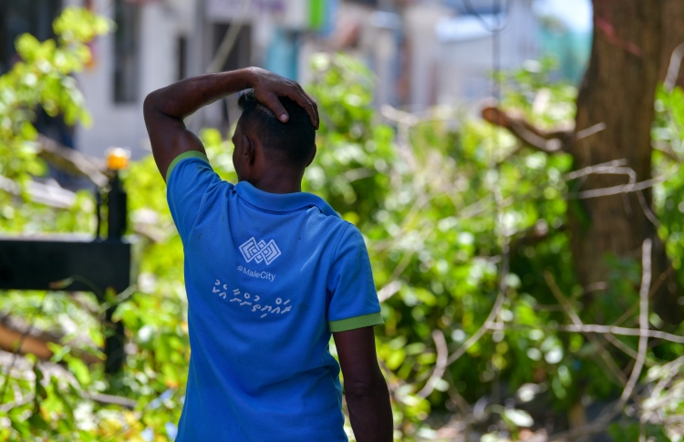 ގަސްތައް ކޮށައިދިނުން ސިޓީ ކައުންސިލުން ހުއްޓާލައިފި