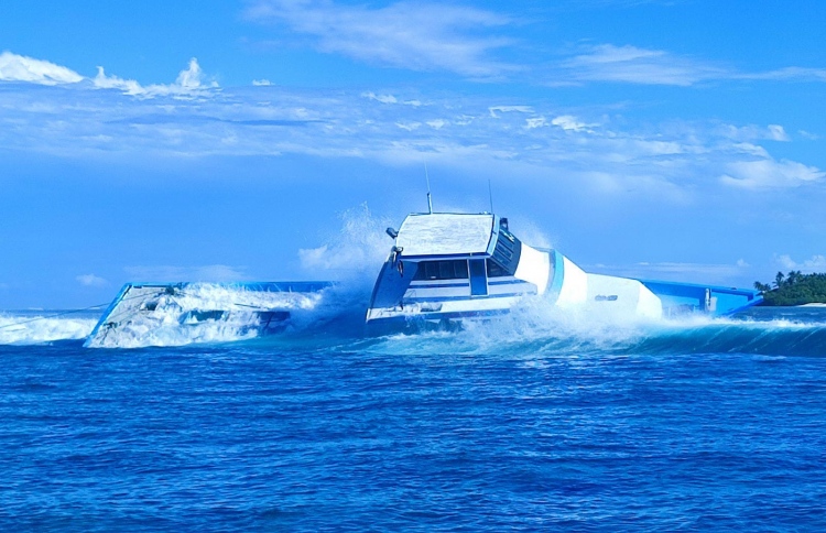 މަސް ދޯންޏެއް ފަރަކަށް އަރައި ބިންދައިގެން ހިނގައްޖެ