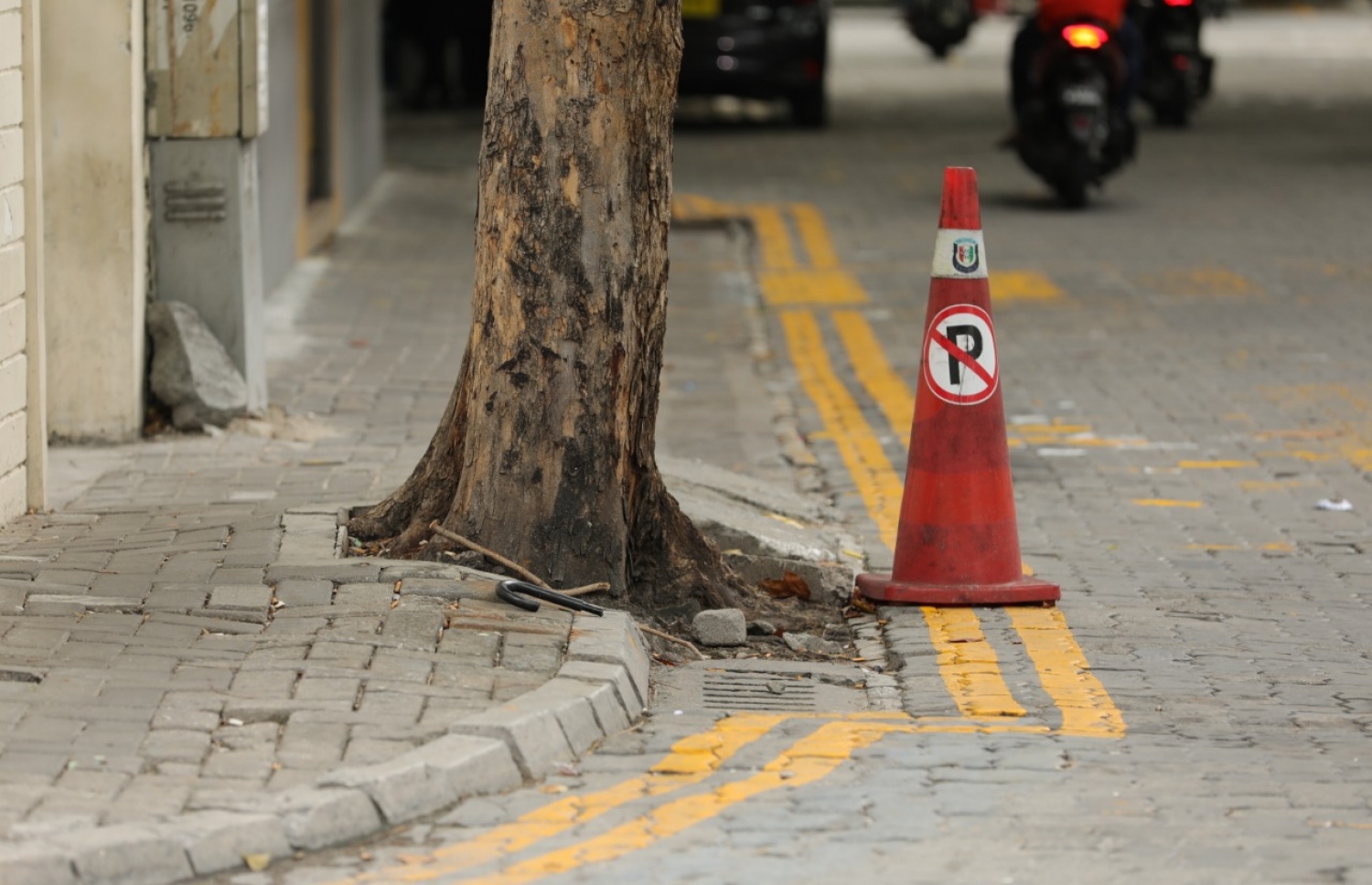 އަމީނީ މަގުގައި ހެދިފައި ހުރި ބޮޑު ގަހެއް: އެ ގަސްތަކުގެ ސަބަބުން މަގު ހަދާ އިރު ހާއްސަ އެހީއަށް ބޭނުންވާ މީހުންނަށް ފުރޮޅުލީ ގޮނޑީގައި ދެވޭނެހާ ޖާގަ ނޯންނަ ކަމަށް އާރްޑީސީއިން ބުނޭ. -- ފޮޓޯ: އާރްޑީސީ