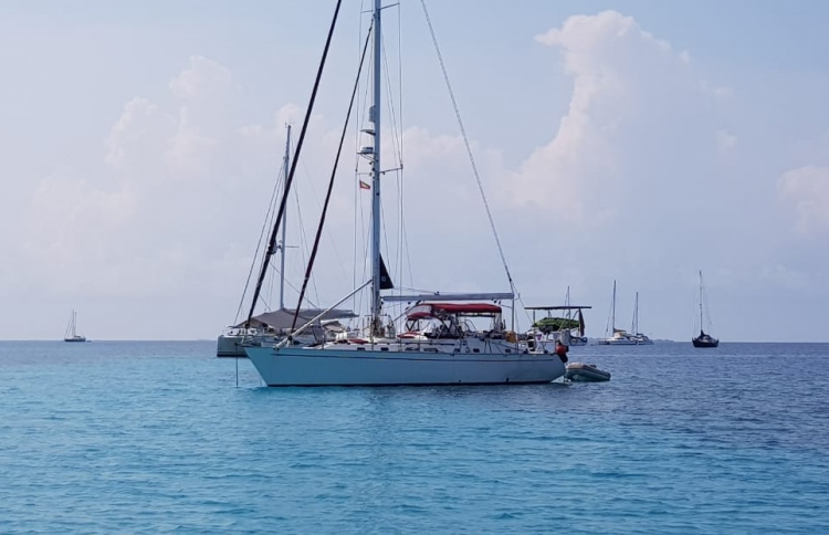 ސަވާދީއްތަ ދަތުރަށް ޓުއަ ގައިޑުން ތަމްރީނުކުރަނީ