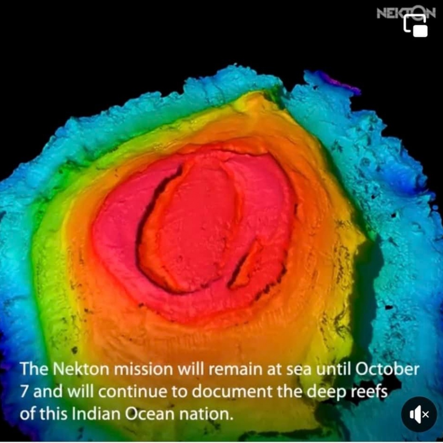 ސޯނާ ޓެކްނޮލޮޖީގެ އެހީގައި ކުރެހި "ސަތޯ ރަހަ"ގެ ތަސްވީރެއް -- ފޮޓޯ: ނެކްޓަން