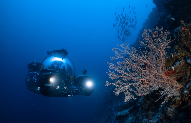 500 މީޓަރު އަޑިން ދިރުންތަކުން ފުރިގެންވާ މާހައުލެއް