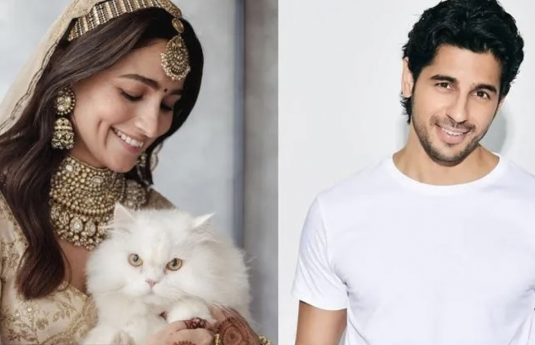 ސިދާތާއި އާލިއާ އަދި އާލިއާ ގެންގުޅޭ ބުޅާ.