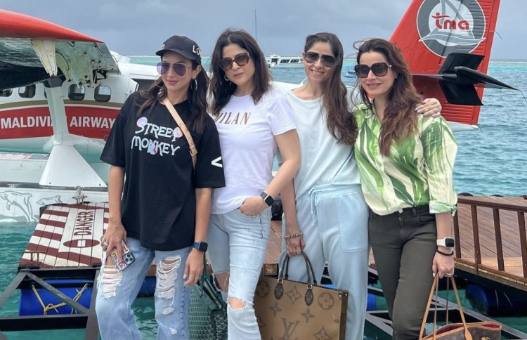 ބޮލީވުޑް ވައިވްސްގެ ތަރިން.