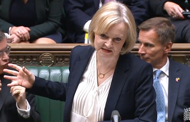 މިއީ ހަނގުރާމަވެރިއެއް، ފިލަން ދުވާ ފިނޑިއެއް ނޫން