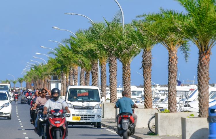 ކަދުރު ރުއްތަކުގެ ބުޑުގައި ޑިޖިޓަލް ބޯޑު ހަރުކުރަނީ