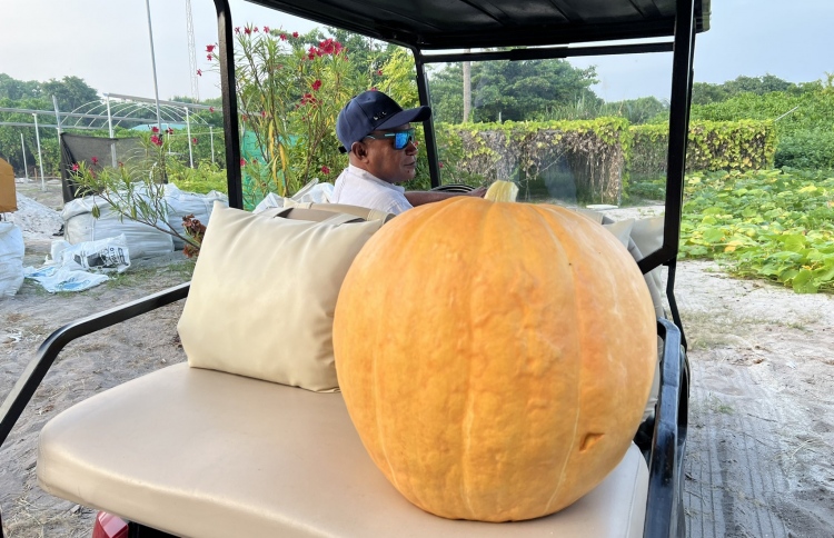 ރާއްޖޭގައި ހެއްދި ބަރަބޮލެއްގައި 25 ކިލޯ