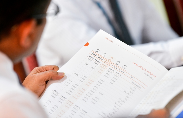 ދަރަނި އަދާކުރަން 4 އަހަރުން 30 ބިލިއަން ބޭނުންވޭ