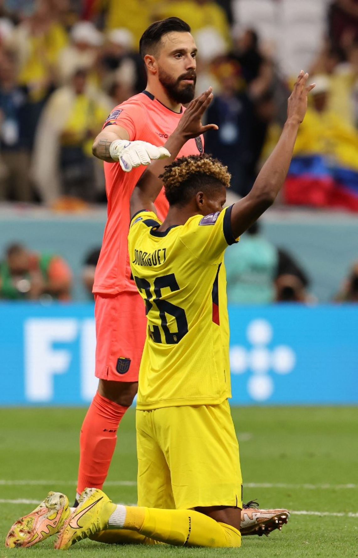 ވޯލްޑް ކަޕުގެ ފުރަތަމަ މެޗުގައި ގަތަރު ކޮޅަށް ލަނޑު ޖެހުމަށް ފަހު އިކުއެޑޯ ކުޅުންތެރިން އުފާފާޅުކުރަނީ. -- ފޮޓޯ: އޭއެފްޕީ