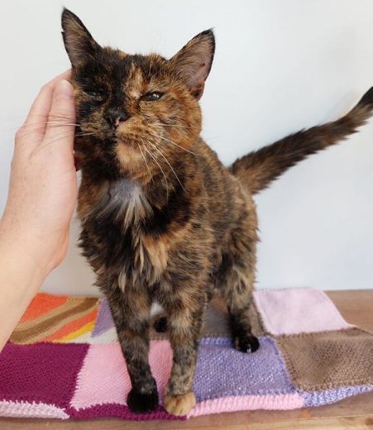 އުމުރުން އެންމެ ދުވަސްވީ އާ ބުޅަލެއް ރެކޯޑު ފޮތަށް