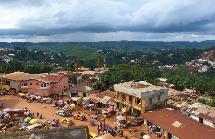 ކެމަރޫންގައި ބިންގަނޑު ކަނޑައިގެން ގޮސް 14 މަރު