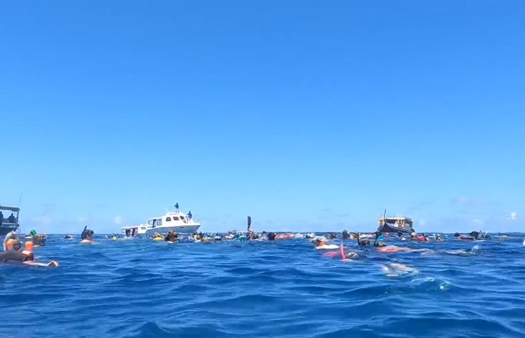 ސިންގަޕޫރު ކުއްޖާ މަރުވީ ގައިމަތިން ދޯނި ދުއްވުމުން