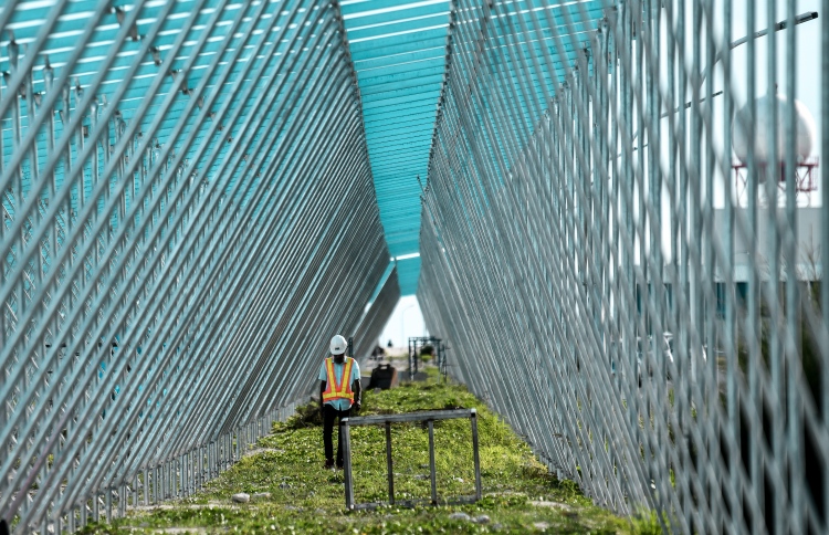 ހަކަތައިގެ ބިޔަ ޕްރޮޖެކްޓް ހިންގާނެ ބަޔަކު ހޯދަނީ