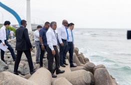 Inspection of the area after the inauguration of the Tetrapod Monument -- Photo: Planning Ministry.