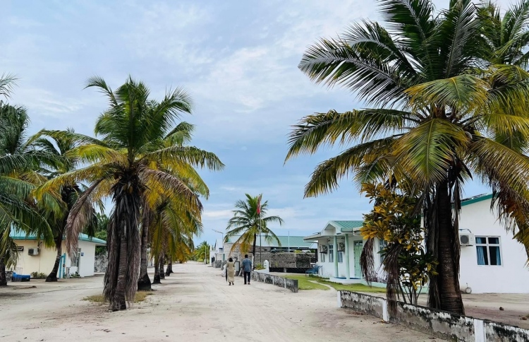 ގައިމައްޗަށް ގޯލެއް ވެއްޓި ކުއްޖަކު މަރުވެއްޖެ