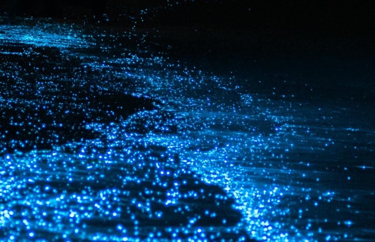 ރެދަންލައި އުތުރުގެ ރަށްތައް ދިއްލާލައިފި