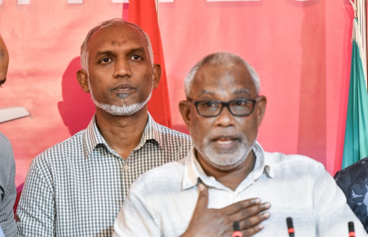 ޕްލޭން ބީ އަކީ ޕީޕީއެމް ކެންޑިޑޭޓެއް، މުއިއްޒެއް ނޫން