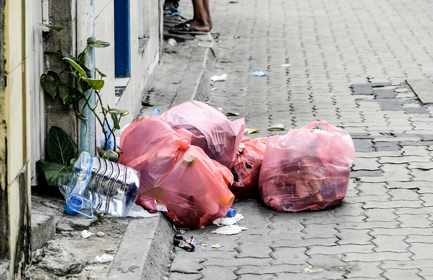 މާލޭގެ މަގުމަތީގައި މިއަދު ހެނދުނު ހުރި ކުނިތަކެއް: ވެމްކޯ އާއި މާލޭ ސިޓީ ކައުންސިލާ ދެމެދު އުފެދިފައިވާ ދެބަސްވުންތަކުގެ ސަބަބުން މަގުތަކުގައި ކުނި ގިނަވާ މައްސަލަ މިހާރު ވަރަށް ބޮޑު.-- ފޮޓޯ: ނިޝާން އަލީ | މިހާރު