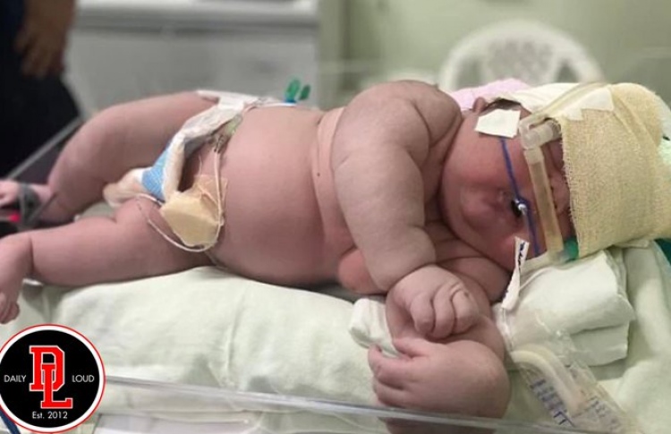 ބްރެޒިލްގެ މަޔަކަށް އާދަޔާ ޚިލާފު މާ ކުއްޖެއް