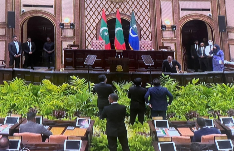 މަޖިލީހުން މެމްބަރުން ނެރުނީ ސިފައިންނެއް ނޫން