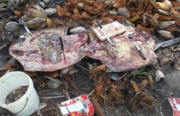 Remains of the turtles slaughtered on the island of Keyodhoo -- Photo: Police