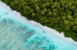 An island under MTDC's management: the company is seeking an island near the Malé area for resort development
