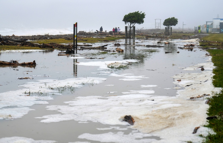 ނިއު ޒީލޭންޑްގައި ކުއްލި ނުރައްކަލުގެ ހާލަތު