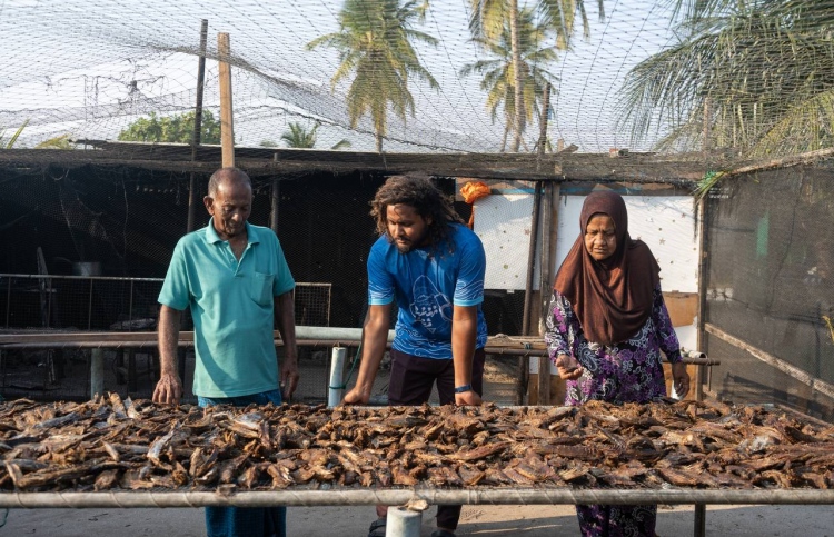 މަސް ކެއްކުމުގައި 45 އަހަރު؛ މިހާރު ނާއުންމީދުގައި