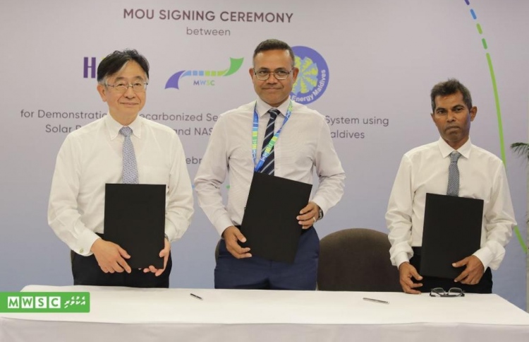 ސާފު ބޯފެން އުފައްދާ ނިޒާމެއް ގުޅިފަޅުގައި ހަދަނީ