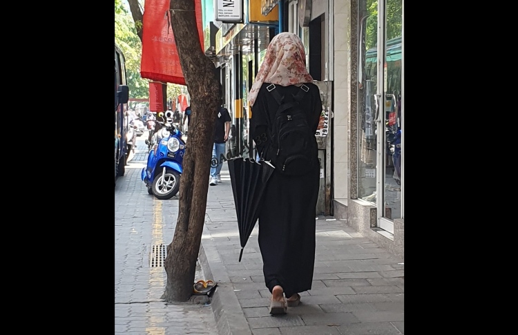 ސަލާންޖަހާ ޖަޕާނު މީހާ އިމިގްރޭޝަނުން ދޫކޮށްލައިފި