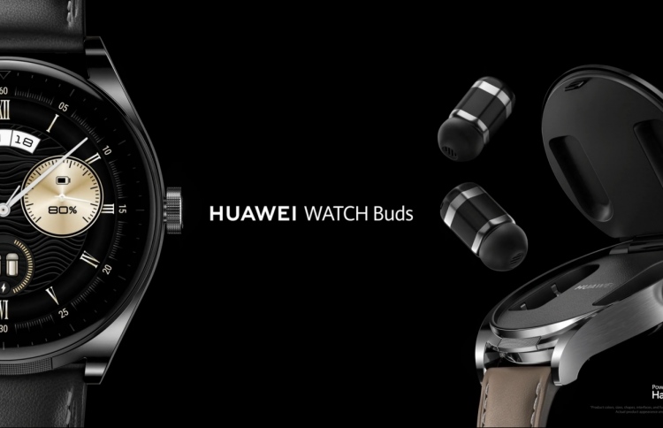 ވާވޭ ވޮޗް ބަޑްސް: ގަޑީގެ ތެރޭގައި އިއާބަޑްސް!